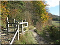 Kissing Gate to Burham Downs