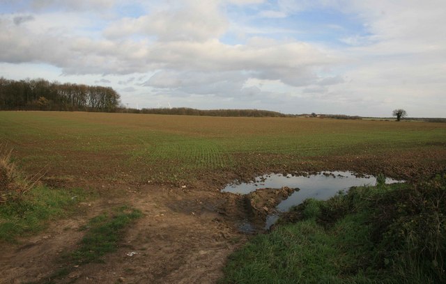 Cultivated field by the A618 junction.