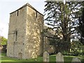 Yew tree by the tower