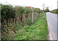 Footpath signpost beside Hall Road, Winfarthing