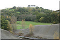 Broom Hill above Teign Valley golf course