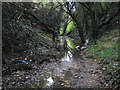 Hertford: Rowleys Road Drain