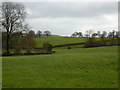 SE0653 : Farmland at Bolton Abbey by Peter Barr