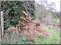 Footpath to the B1438 High Street