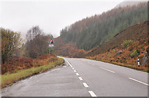 NM8981 : A830 west of Glenfinnan by Steven Brown