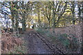 Footpath and Bridleway