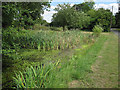 Weston Green village pond