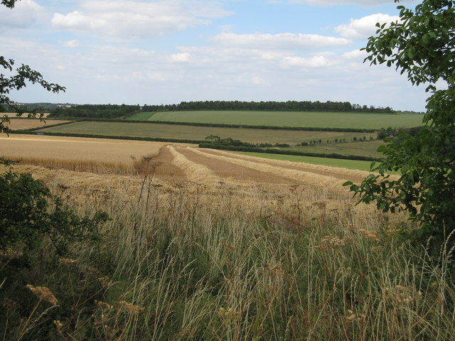 Part harvested field
