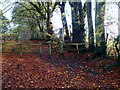 Gate on Watlington Hill