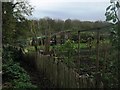 Allotments on Castle Road