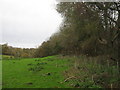 Footpath towards Saltwood Castle (2)