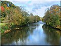 River Taw from Umberleigh road bridge