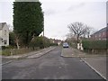 Maple Avenue - looking towards Linden Avenue