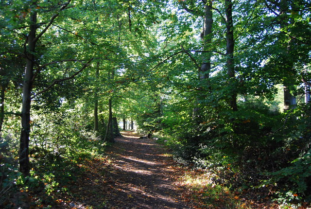 LOOP, Addington Hills © N Chadwick :: Geograph Britain and Ireland