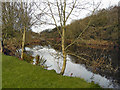 River Croal, Moses Gate Country Park