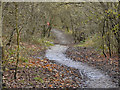 Moses Gate Country Park