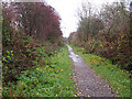 Devon Way with two bridges