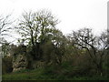 Walls of Saltwood Castle