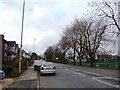 Coronation Avenue, Hopwood