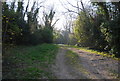 Bridleway up onto the Downs