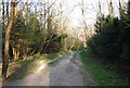 Footpath on the edge of Eastbourne