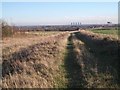 Norton Common Lane