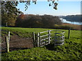 A kissing gate on the North Cheshire Way