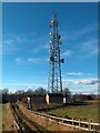 Telecommunications mast west of Greno Wood