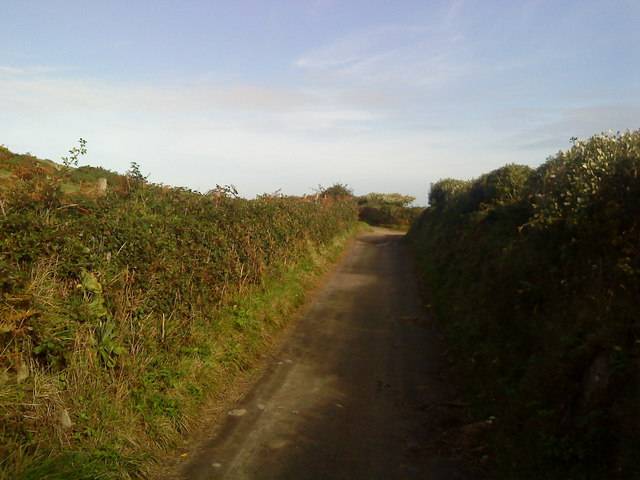 Country lane on Tresco near New Grimsby