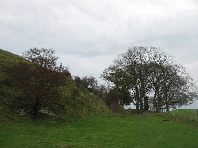 Footpath beside Summerhouse Hill