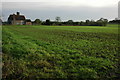 Arable land near Peglar