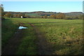 View across farmland to Blaisdon