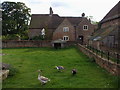 Goose Pen, Honeybrook Farm Park, Dorset