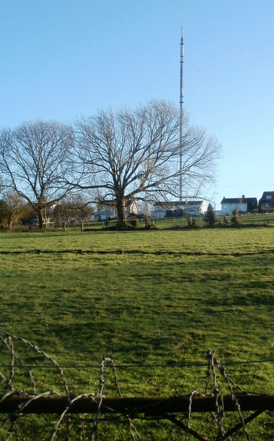 Trees and distant TV transmitter viewed from the A48