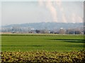 Arable land at Low Common