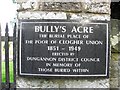 Plaque, Bully