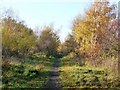 Footpath along former railway line