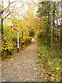 Signal by the footpath