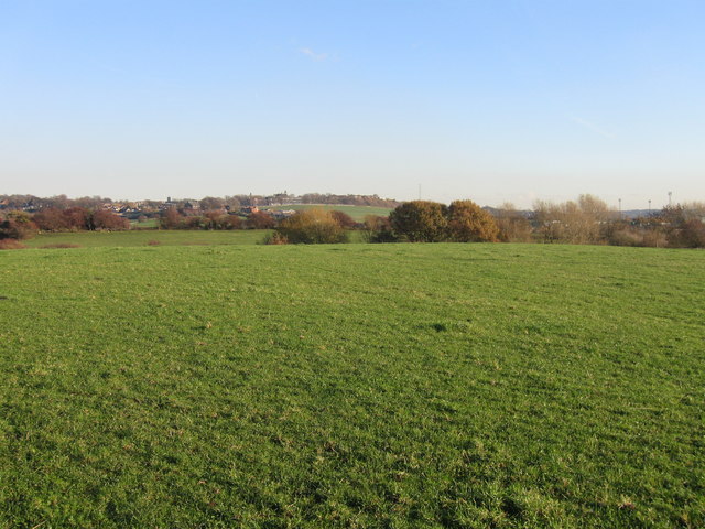 Fields looking towards Healey © Alex McGregor :: Geograph Britain and ...