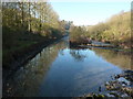 SK2165 : Low water level in River Lathkill by Peter Barr