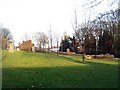 Felled trees, Stanley churchyard (2)