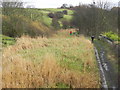 Manchester, Bolton and Bury Canal, Prestolee