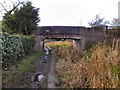 Appleyard Bridge, Prestolee