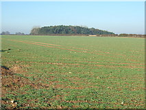 TF8729 : Farmland south of Dunton, Norfolk by Richard Humphrey