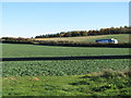 Fields by the A31