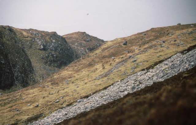 Red deer above Creag an Fhithich