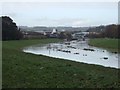 The Alphin Brook in flood