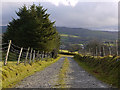 Track to Llwyn-y-g?g farm