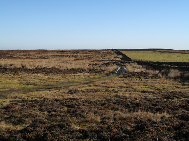 Heather moorland on south side of... © Trevor Littlewood cc-by-sa/2.0 ...