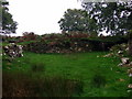 SN1133 : Ruins at Hafod Tydfil (6) by Natasha Ceridwen de Chroustchoff